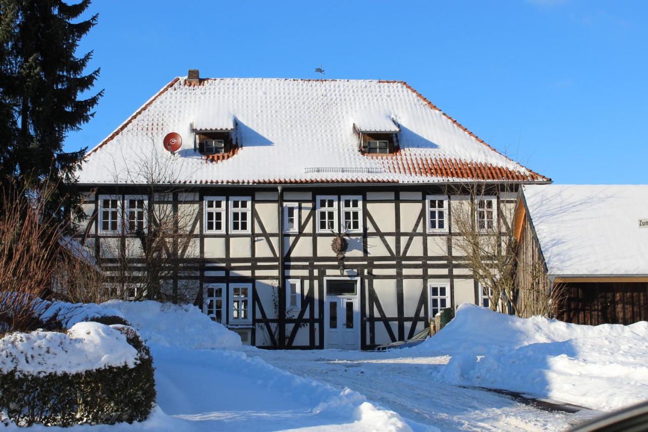 Forsthaus In Waldhessen Apartment Bauhaus Екстериор снимка