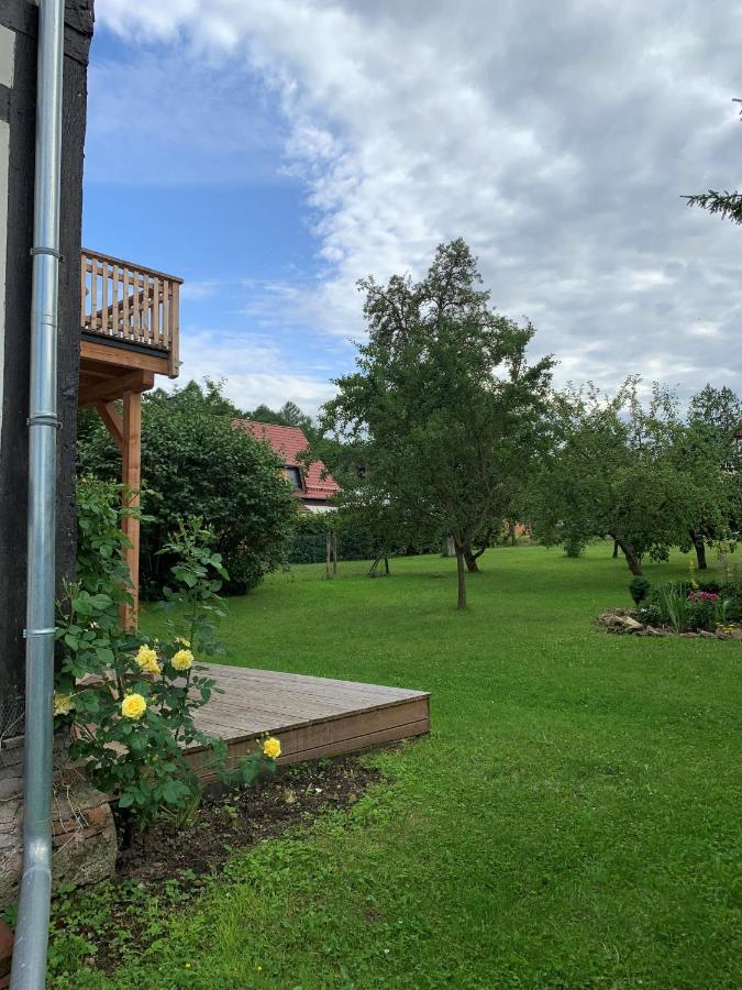 Forsthaus In Waldhessen Apartment Bauhaus Екстериор снимка